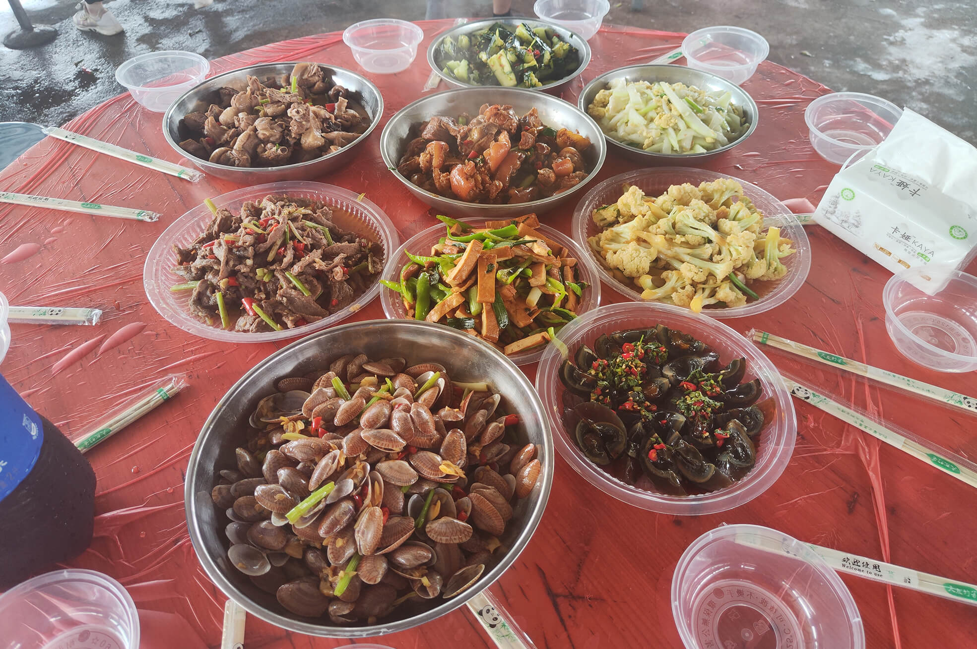 S36沙龙会 - 要玩就玩沙龙会