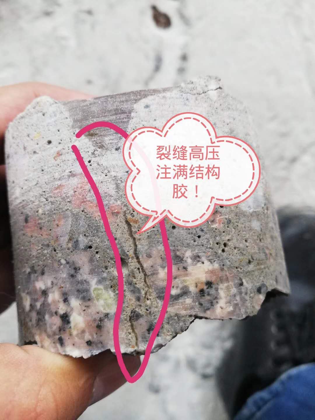 九游会j9官网ag - 真人游戏第一品牌